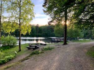 Tilbage til naturen – forskningen bag naturterapi