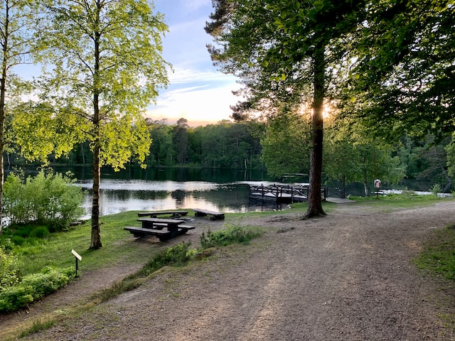 naturterapi_skov_og_vand