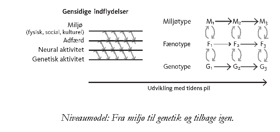 udviklingspsykologi