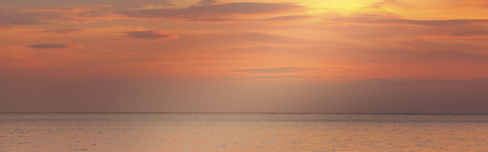 mindfulness uddannelse