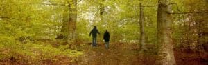 Natur, krop, psyke og fællesskab