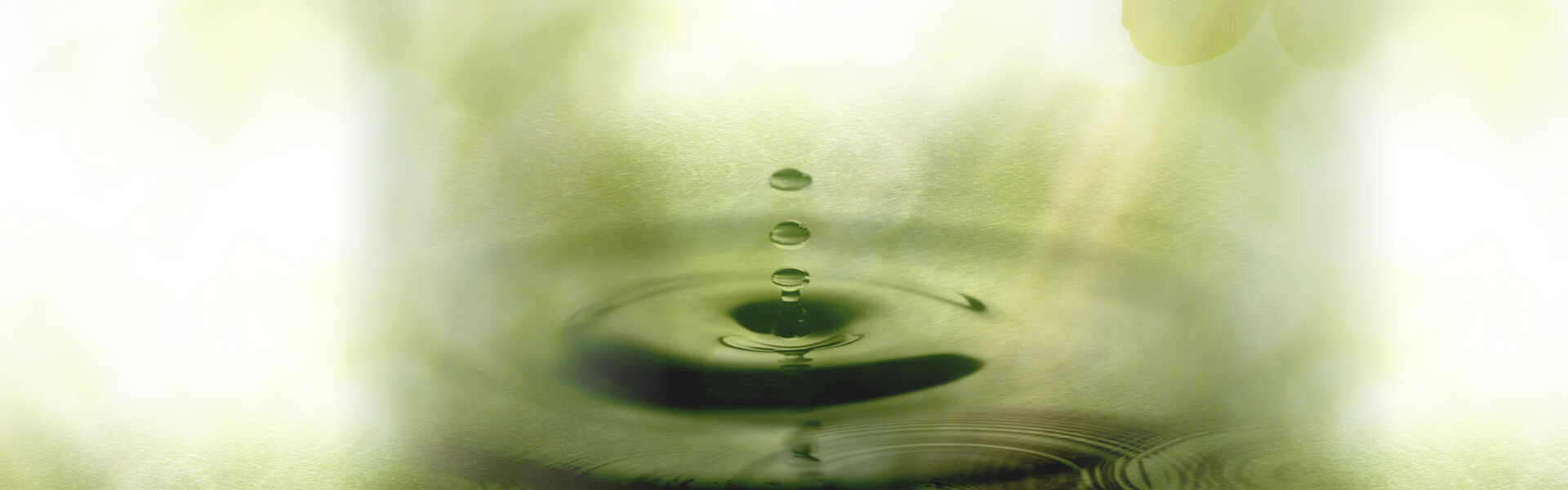 acceptance and commitment therapy ACT
