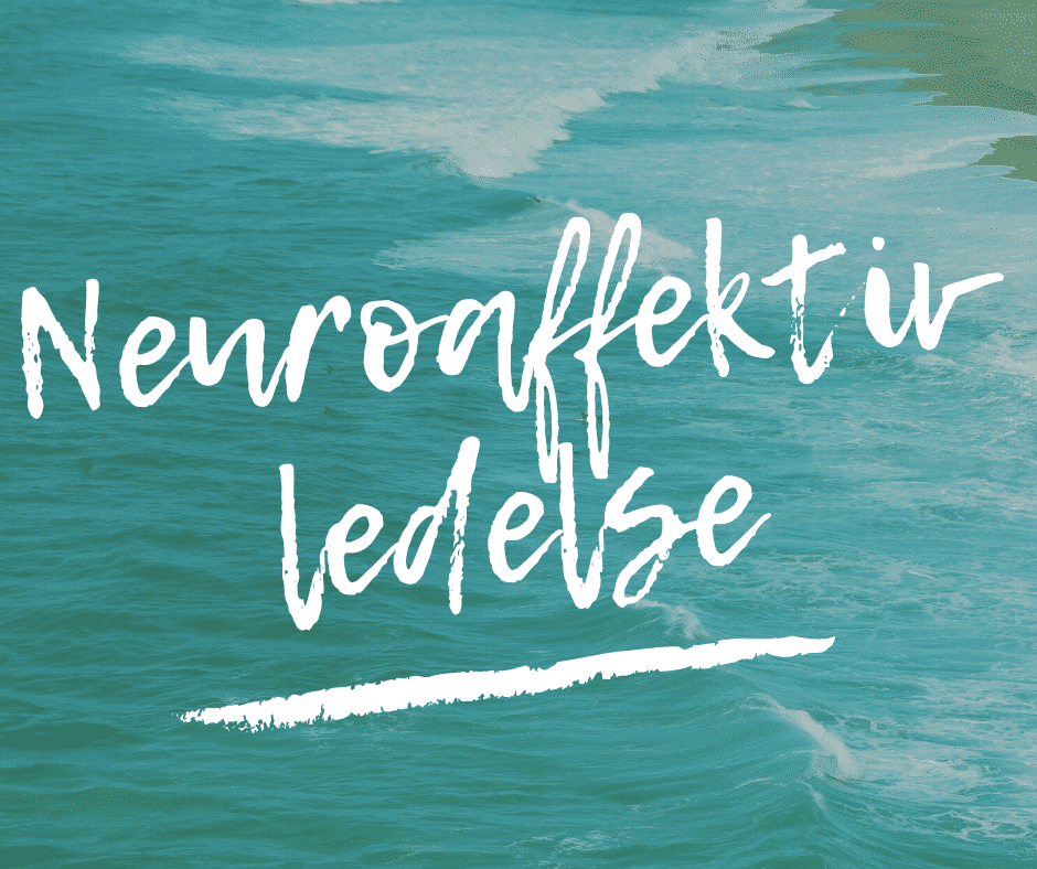 neuroaffektiv_ledelse_forsidebillede