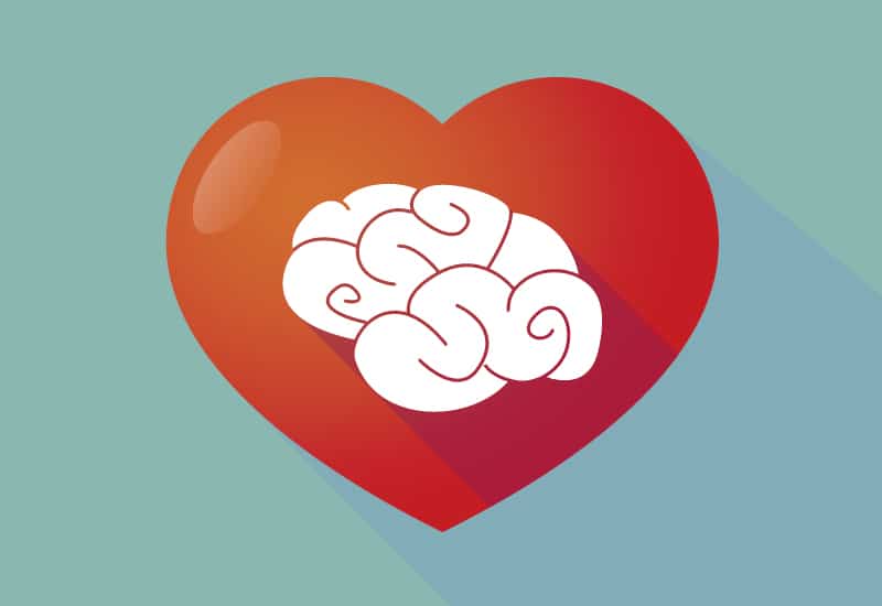 hjerne_og_hjerte_neuroaffektiv_ledelse_artikelbillede