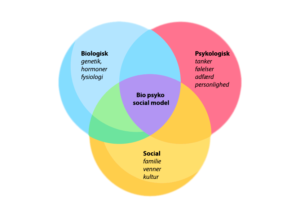 Den Bio-psyko-sociale model: En helhedsorienteret tilgang til sundhed og sygdom