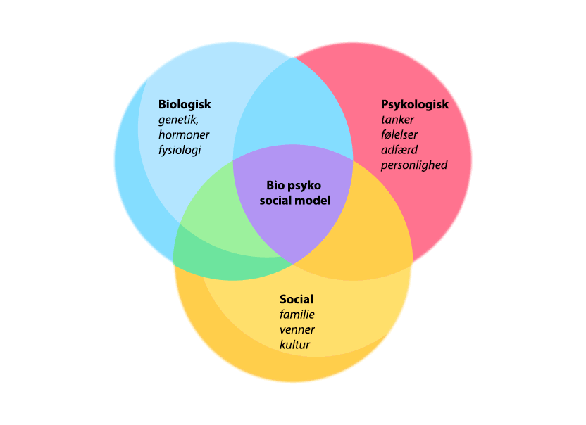 Den Bio-psyko-sociale model