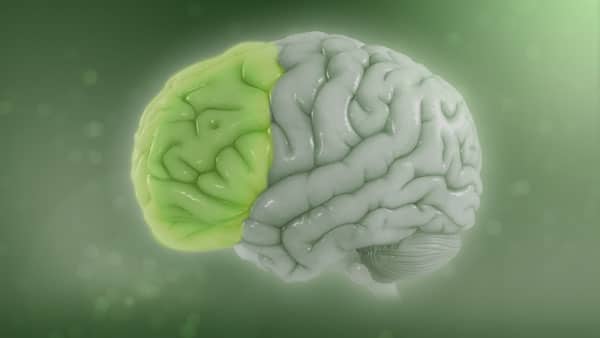 adhd symptomer voksne