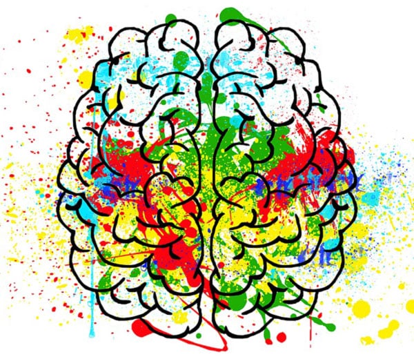neuropædagogik