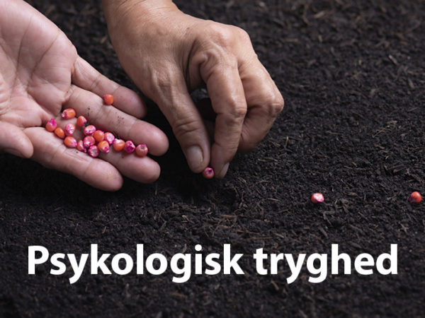 Dina & Amanda er med til at lægge kimen til psykologisk tryghed på deres arbejdsplads